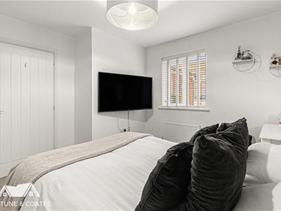 Picture 8